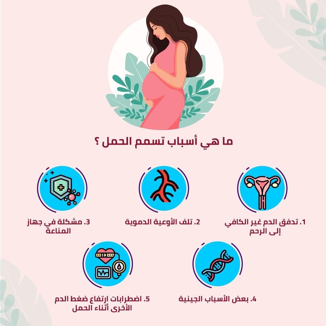 اعراض الحمل infographic